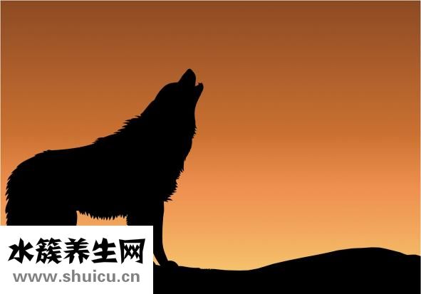 速食海参怎么做