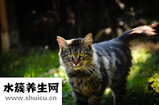 眼睛起绝眼怎么回事