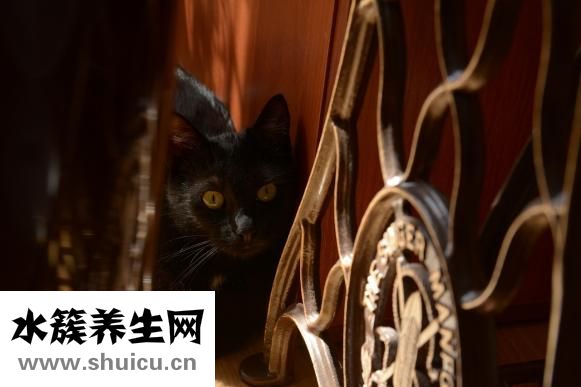 婴儿揉眼睛怎么回事