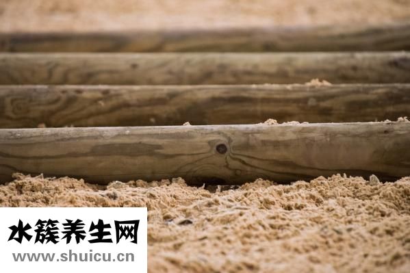 小青龙怎么烧