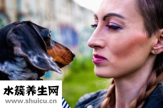 脑神经衰弱怎么调理