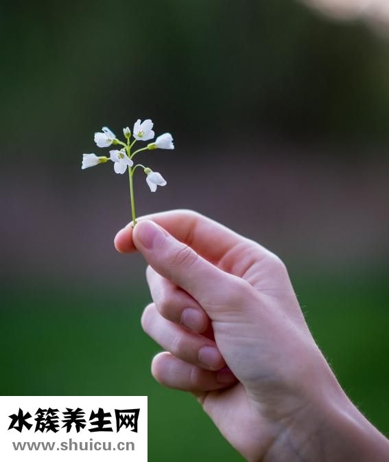 汗毛越来越长怎么办