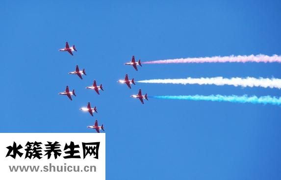 肉松蓉怎么
