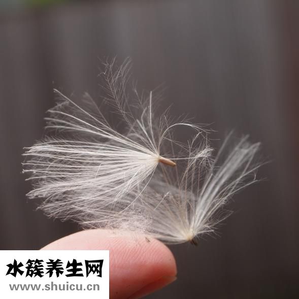 手比脸白怎么办