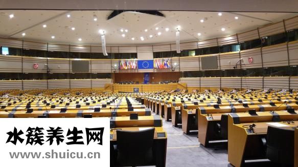 虫子进入耳朵怎么办