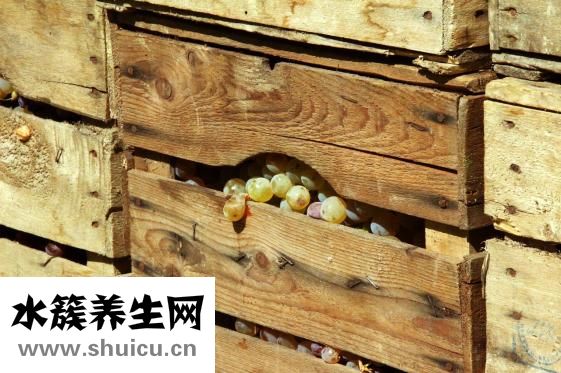 提子膏怎么做