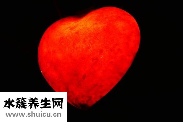 血红虫怎么养