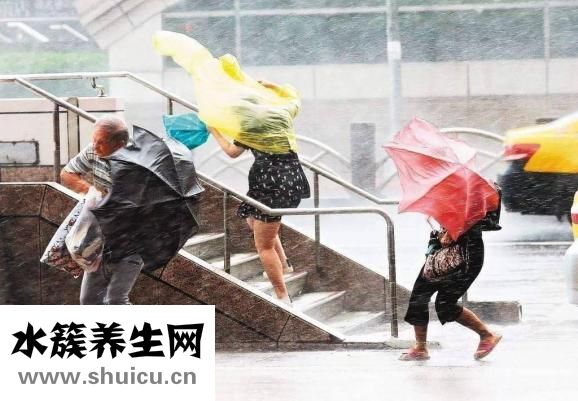 台风的日记怎么写