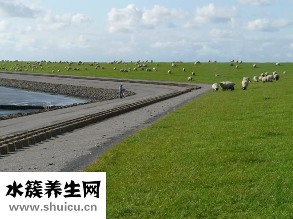 怎么吹马哨