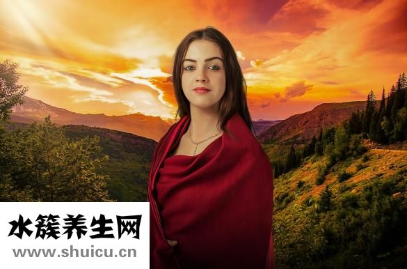 猫打架怎么办