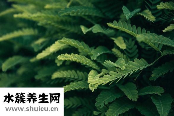 指甲切掉一半怎么办