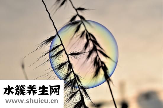 怎么保养肝脏