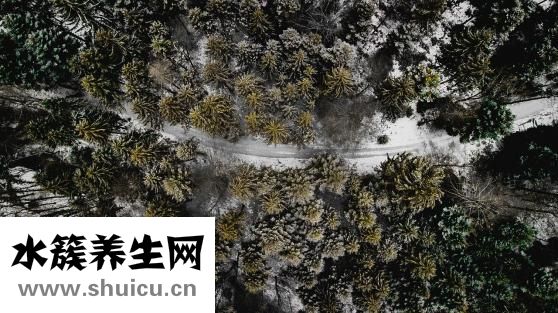 胸腔出血怎么办