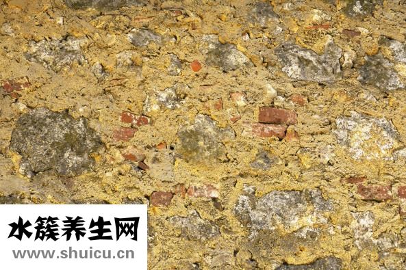 既视感怎么用
