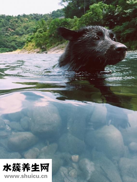 衣服长黑点怎么洗