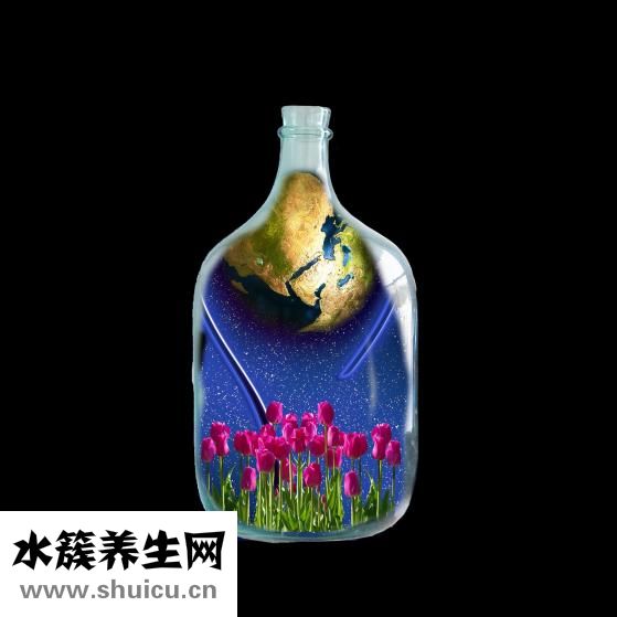 提取物怎么发货