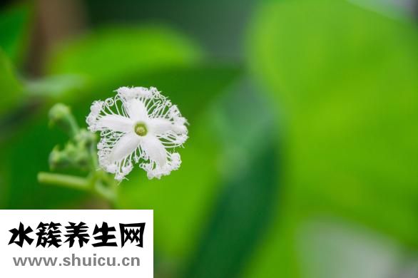 针灸怎么下针