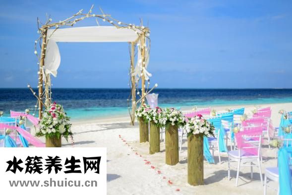 蛙缸应该怎么布景