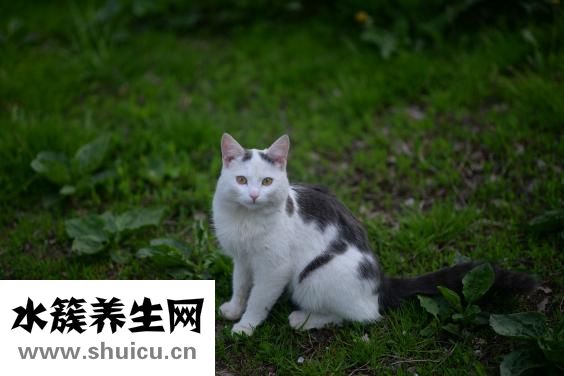 眼镜腿短怎么办