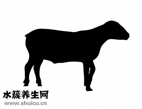 新鲜狗肉怎么做好吃