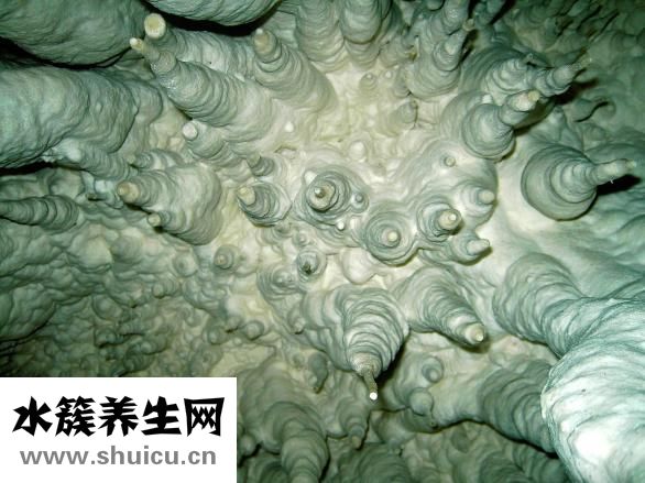 石灰病怎么治疗