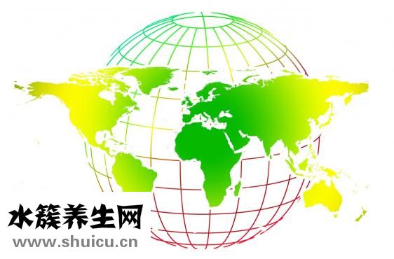 怎么区分野生甲鱼