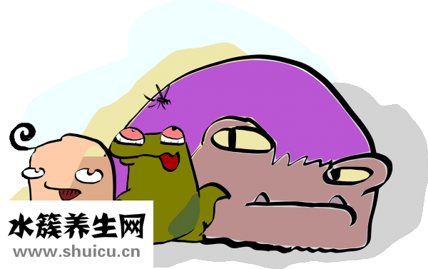 稀里糊涂怎么办