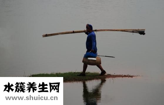 吃了活蚂蚁怎么办