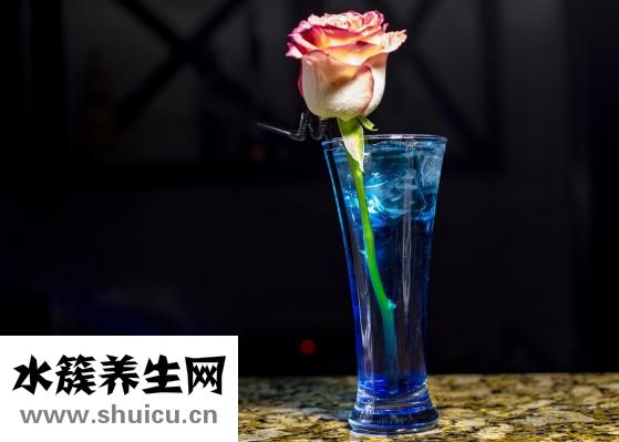 提取物怎么发货