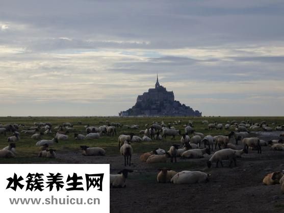 风衣怎么折
