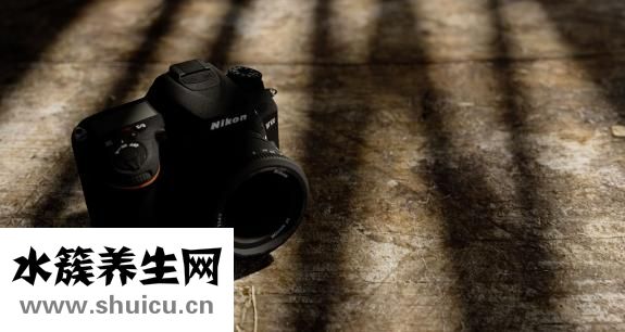 金针菇怎么给宝宝吃