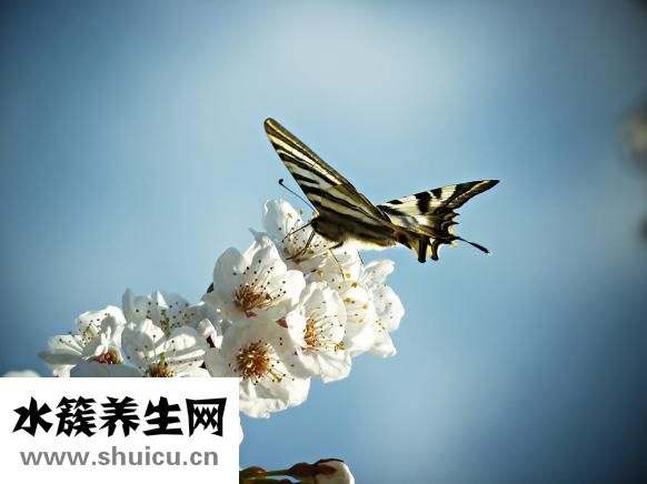 很讨厌自己怎么办