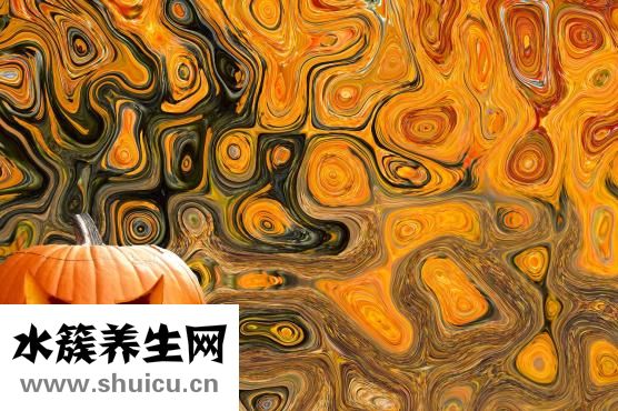 怎么炖冬瓜