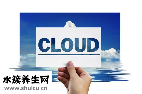 精子活率怎么计算
