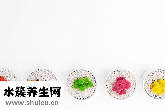 直发怎么扎