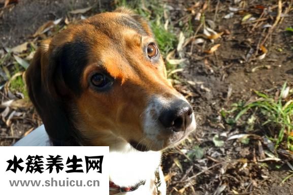 怎么让眼睛肿