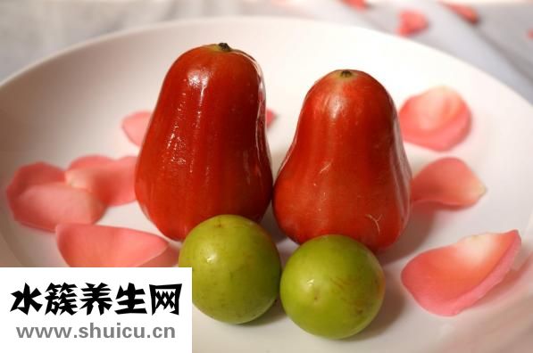 梅子粉用日语怎么说