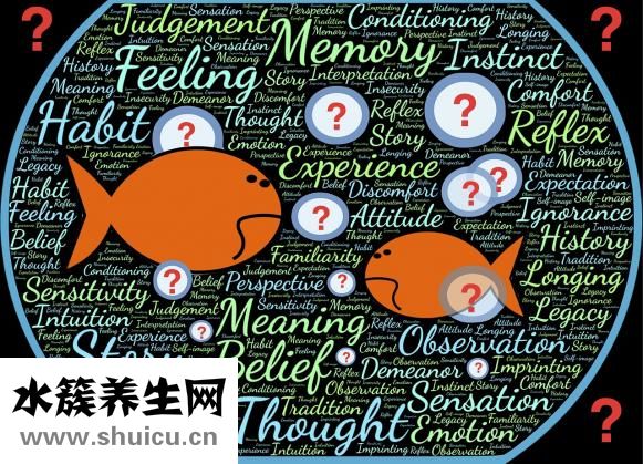 鱼缸水绿了怎么办