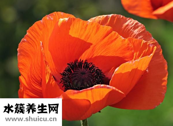 宝宝洗澡怕水怎么办
