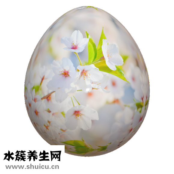 怎么煮凉粉