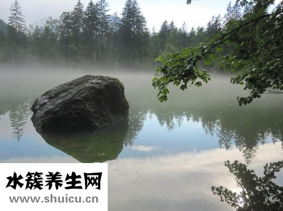 表里有水雾怎么办
