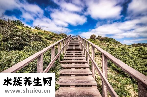 胖头鱼身怎么做好吃