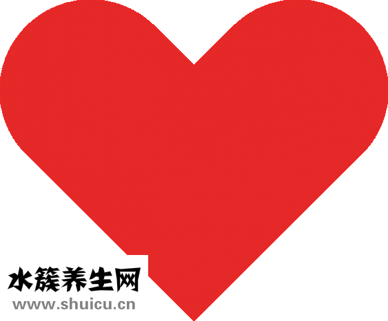 有齿痕是怎么回事