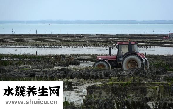 骨骼老化怎么办