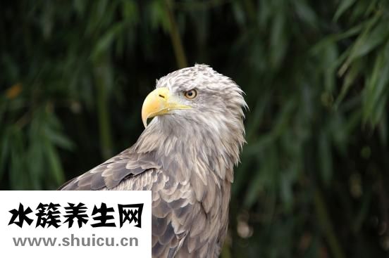 眼睛肿痛怎么办