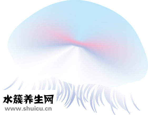 鱼缸水绿了怎么办