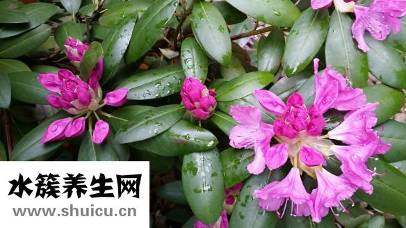 左脚心麻是怎么回事