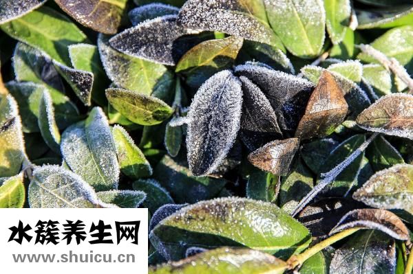 孕妇长冻疮怎么办