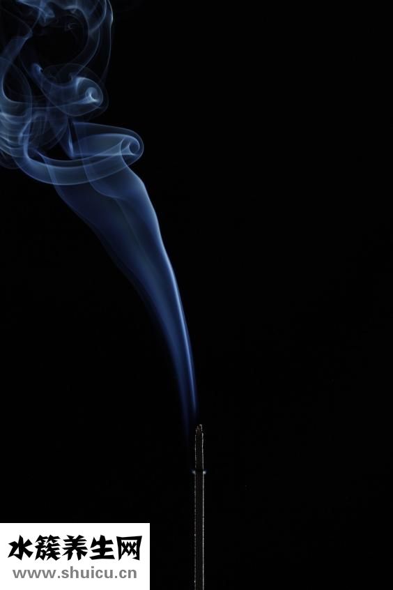 黑金刚怎么繁殖