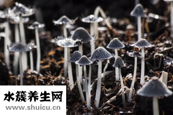 神经受刺激怎么办